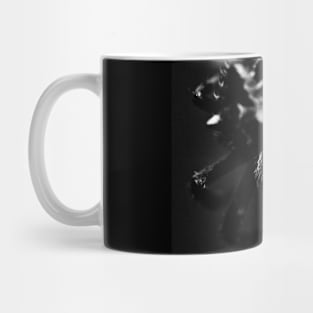 Dark Spider! Mug